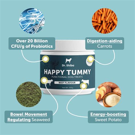 is dr shiba fda approved|Dr Shiba Supplement Treats PH .